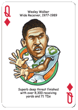 Load image into Gallery viewer, New York (AFC) Football Heroes for Jets Fans